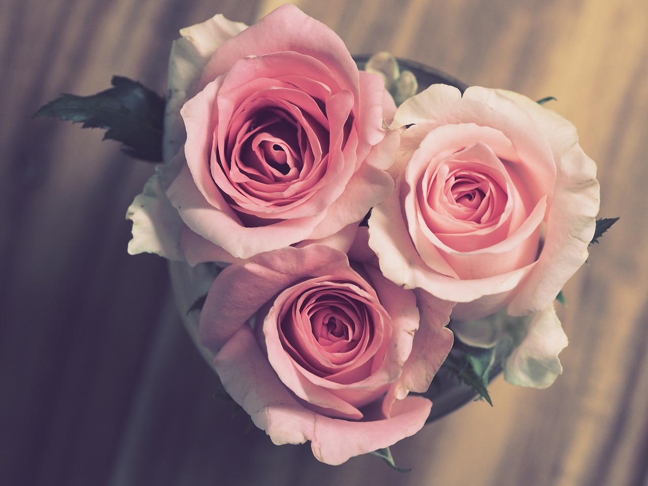 10 Ways to Celebrate Your Birthday Sustainably